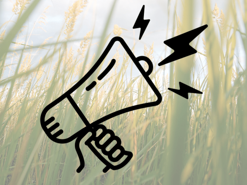 AGRI-DRY call for ASAPA&nbsp;abstracts