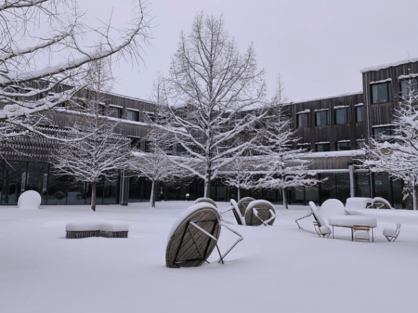Joining an archaeological think tank for climate resilience in&nbsp;Sweden
