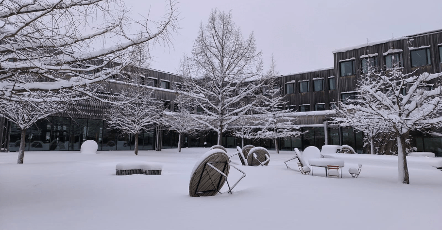 Joining an archaeological think tank for climate resilience in&nbsp;Sweden