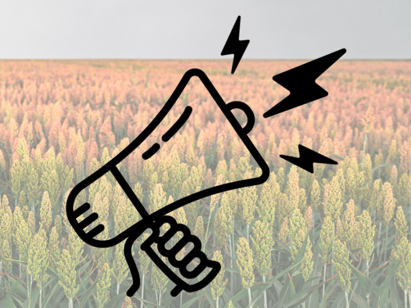 AGRI-DRY call for PanAf&nbsp;abstracts