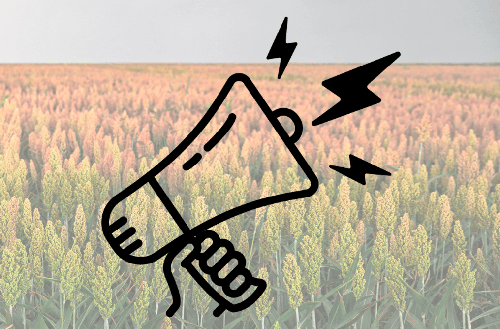 AGRI-DRY call for PanAf&nbsp;abstracts