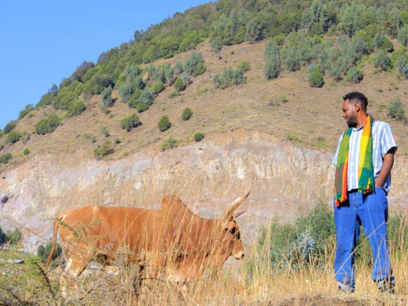 Tracing degradation patterns in Harbu: why preliminary field assessment&nbsp;matters