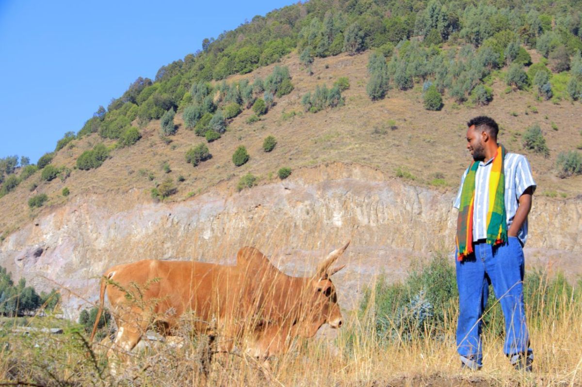 Tracing degradation patterns in Harbu: why preliminary field assessment&nbsp;matters