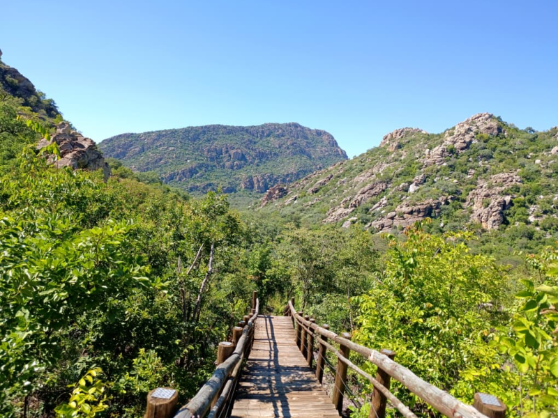 Walking the Research Path: Fieldwork in Northern&nbsp;Botswana