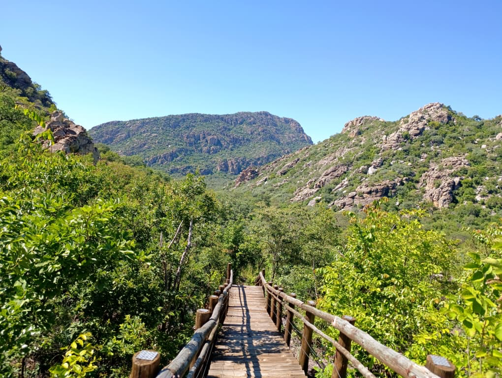Walking the Research Path: Fieldwork in Northern&nbsp;Botswana