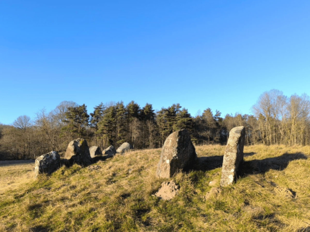 Developing a simulation model: the story of a productive research stay in&nbsp;Denmark
