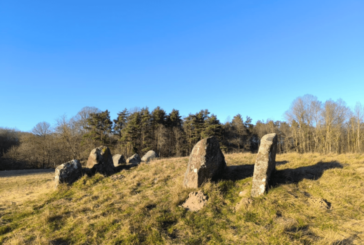 Developing a simulation model: the story of a productive research stay in&nbsp;Denmark