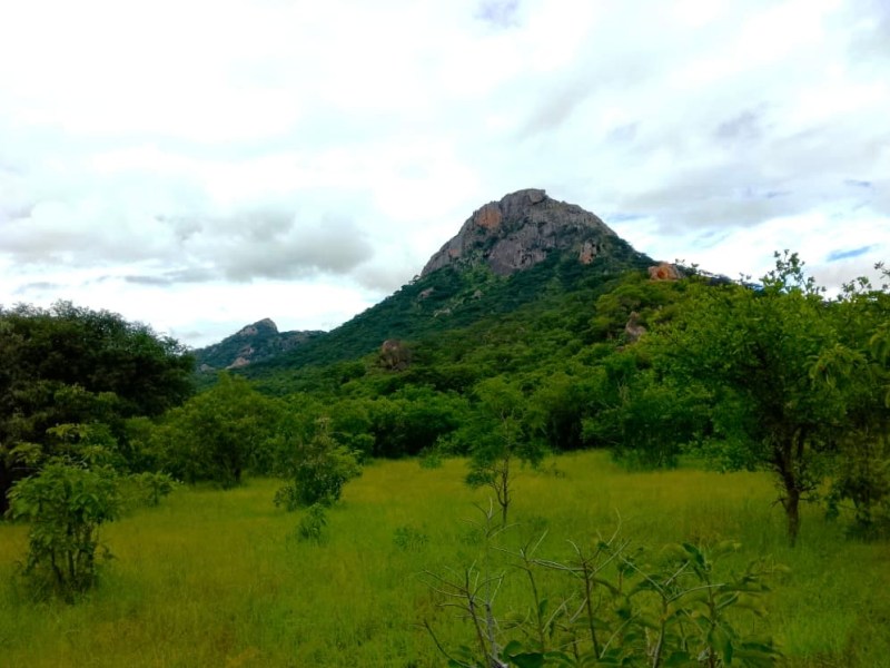 Is the juice worth the squeeze? The challenges and rewards of archaeological&nbsp;fieldwork